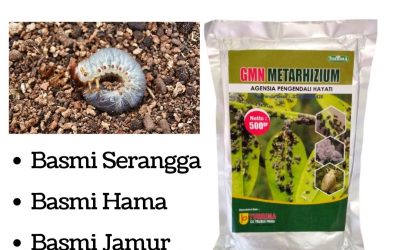 HARGA KHUSUS! WA 0812-2882-4836 PUSAT insektisida pembasmi semut di Kota Padangpanjang, JUAL insektisida pembasmi lalat di Kota Bukittinggi, DISTRIBUTOR insektisida pembasmi lalat buah jeruk di Kota Payakumbuh