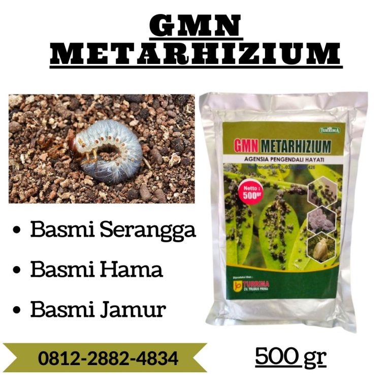 HARGA KHUSUS! WA 0812-2882-4836 PUSAT insektisida pembasmi semut di Kota Padangpanjang, JUAL insektisida pembasmi lalat di Kota Bukittinggi, DISTRIBUTOR insektisida pembasmi lalat buah jeruk di Kota Payakumbuh