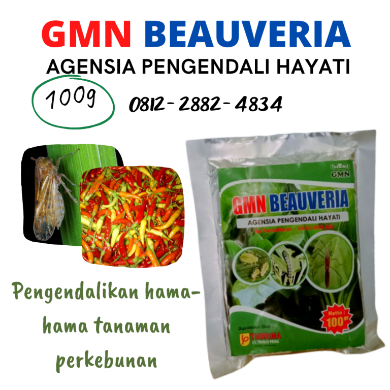 TELP, 0812-2882-4834, Pusat Obat Pengendali Hama Wereng Kota Blitar, Distributor Obat Pengendali Hama Ulat Kota Kediri, Produsen Obat Pengendali Hama Cabe Kota Madiun