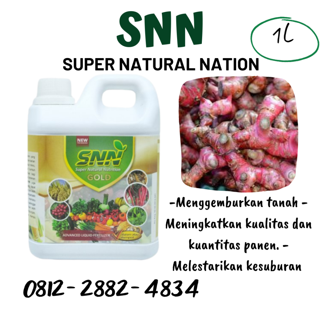 Pusat Pupuk Jahe Agar Berbuah Lebat Painan, Distributor Pupuk Alami Untuk Jahe Solok, Produsen Pupuk Untuk Budidaya Jahe Arosuka