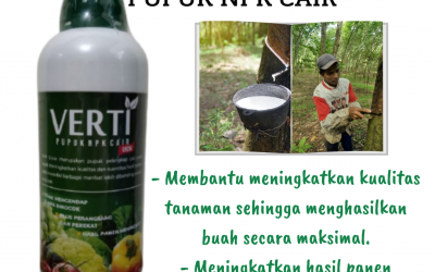 PUSAT, 0812-2882-4834, Pusat Pupuk Karet Cair Pelaihari, Distributor Pupuk Karet Cepat Besar Kotabaru, Produsen Pupuk Karet Supaya Cepat Besar Kotabaru