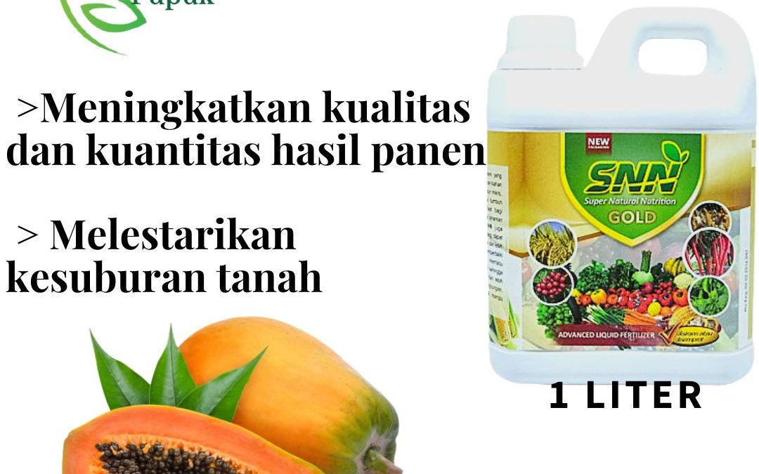 PUSAT, 0812-2882-4834, Pusat Pupuk Pepaya Agar Berbuah Lebat Kota Kediri, Distributor Pupuk Pepaya Agar Cepat Berbuah Kota Madiun, Produsen Pupuk Buah Pepaya Kota Malang