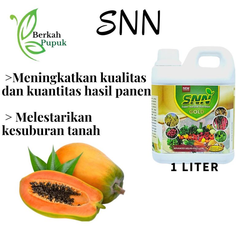 PUSAT, 0812-2882-4834, Pusat Pupuk Pepaya Agar Berbuah Lebat Kota Kediri, Distributor Pupuk Pepaya Agar Cepat Berbuah Kota Madiun, Produsen Pupuk Buah Pepaya Kota Malang