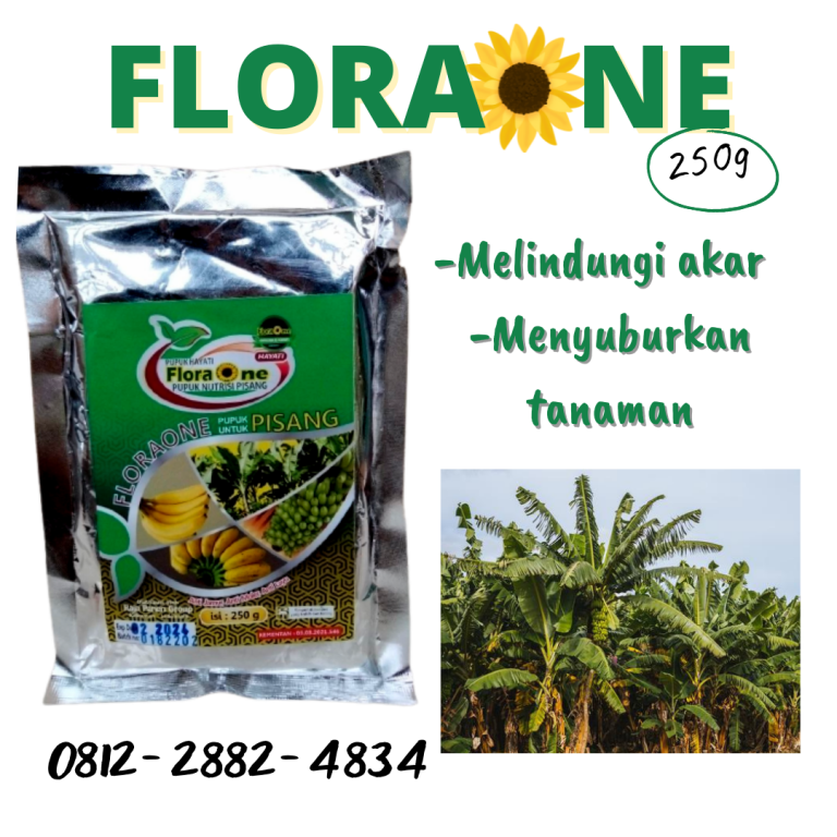 TELP, 0812-2882-4834, Pusat Pupuk Pisang Agar Berbuah Besar Pemangkat, Distributor Pupuk Pisang Agar Buah Besar Mempawah, Produsen Pupuk Pisang Ambon Sungai Kunyit