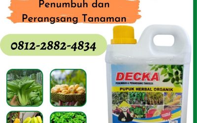 TERBAIK, 0812-2882-4834, Pusat Pupuk Semangka Agar Manis Bangkinang, Distributor Pupuk Agar Semangka Berbuah Besar Indragiri Hulu, Produsen Pupuk Alami Semangka Rengat