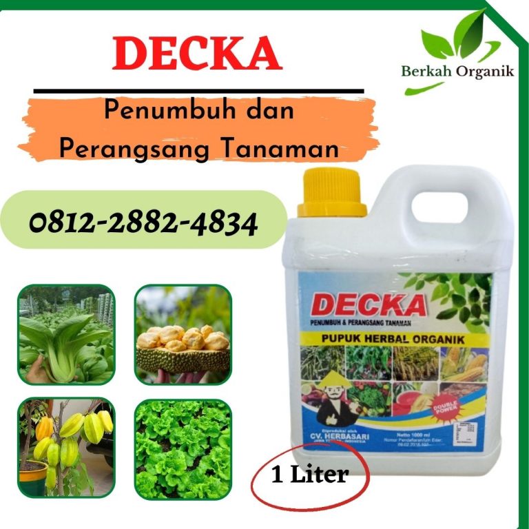 TERBAIK, 0812-2882-4834, Pusat Pupuk Semangka Agar Manis Bangkinang, Distributor Pupuk Agar Semangka Berbuah Besar Indragiri Hulu, Produsen Pupuk Alami Semangka Rengat