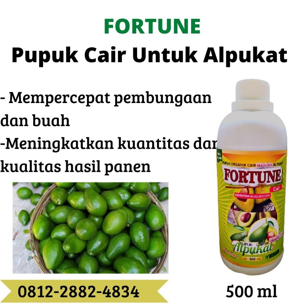 Grosir Pupuk Khusus Alpukat Booster Cilacap, Grosir Pupuk Alpukat Cair Berbunga Pasuruan, Supplier Pupuk Khusus Alpukat Cepat Besar Purwodadi, Suplier Pupuk Khusus Alpukat Cepat Berbuah Jepara, Pusat Pupuk Khusus Alpukat Cepat Buah Karanganyar, Distributor Pupuk Khusus Alpukat Cepat Berbuah Lebat Grobogan, Produsen Pupuk Khusus Alpukat Pembuahan Kebumen, Supplier Pupuk Khusus Alpukat Semarang, Suplier Pupuk Khusus Alpukat Ali Banjarnegara, Pusat Pupuk Khusus Alpukat Agar Cepat Berbuah Banyumas
