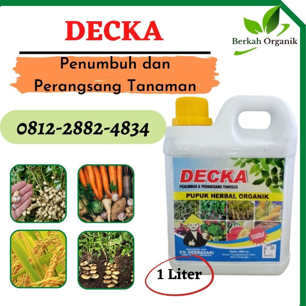 Suplier Pupuk Semangka Agar Besar Kampar, Pusat Pupuk Semangka Agar Manis Bangkinang, Distributor Pupuk Agar Semangka Berbuah Besar Indragiri Hulu