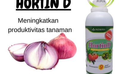 ORI, 0812-2882-4834, Supplier Obat Bawang Merah Yogyakarta, Suplier Obat Bawang Merah Kerdil Bantul, Pusat Obat Bawang Merah Daun Kuning Gunungkidul