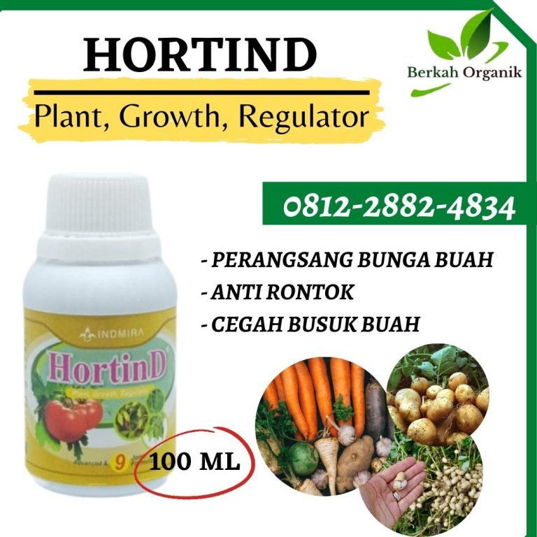 TELP, 0812-2882-4834, Supplier Pupuk Bawang Putih Padang, Suplier Pupuk Untuk Bawang Putih Pesisir Selatan, Pusat Pupuk Organik Bawang Putih Painan