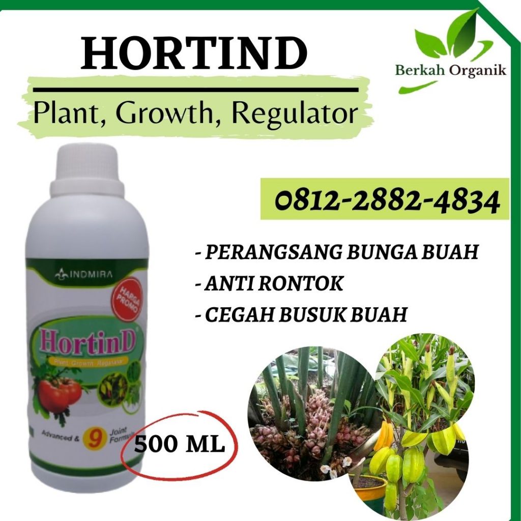 Supplier Pupuk Belimbing Surabaya, Suplier Pupuk Belimbing Dewi Bangkalan, Pusat Pupuk Belimbing Manis Banyuwangi