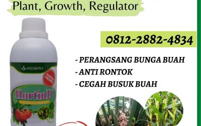 SUPPLIER, 0812-2882-4834, Supplier Pupuk Belimbing Surabaya, Suplier Pupuk Belimbing Dewi Bangkalan, Pusat Pupuk Belimbing Manis Banyuwangi