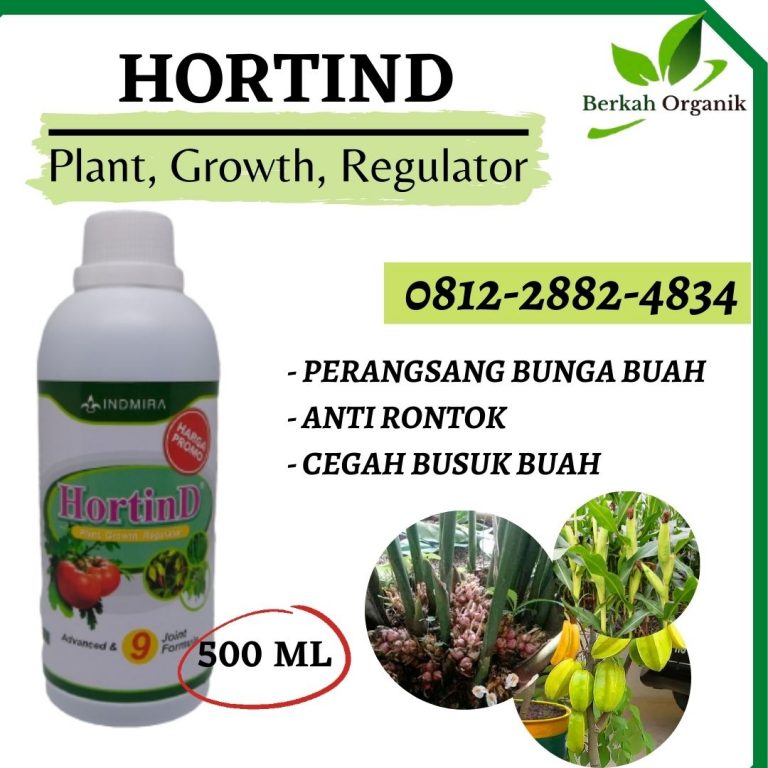 SUPPLIER, 0812-2882-4834, Supplier Pupuk Belimbing Surabaya, Suplier Pupuk Belimbing Dewi Bangkalan, Pusat Pupuk Belimbing Manis Banyuwangi