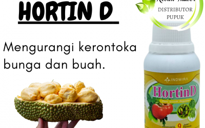 HUB, 0812-2882-4834, Supplier Pupuk Buah Cempedak Samarinda, Suplier Pupuk Buah Cempedak Biar Cepat Berbuah Paser, Pusat Pupuk Buah Cempedak Agar Cepat Berbuah Tana Paser