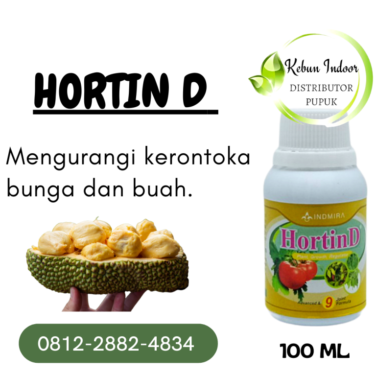 HUB, 0812-2882-4834, Supplier Pupuk Buah Cempedak Samarinda, Suplier Pupuk Buah Cempedak Biar Cepat Berbuah Paser, Pusat Pupuk Buah Cempedak Agar Cepat Berbuah Tana Paser