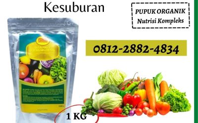 HUB, 0812-2882-4834, Supplier Pupuk Cabe Banda Aceh, Suplier Pupuk Cabe Rawit Aceh Barat, Pusat Pupuk Cabe Musim Hujan Meulaboh
