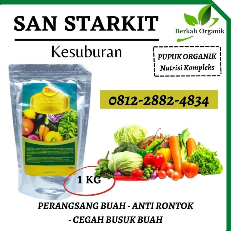 HUB, 0812-2882-4834, Supplier Pupuk Cabe Banda Aceh, Suplier Pupuk Cabe Rawit Aceh Barat, Pusat Pupuk Cabe Musim Hujan Meulaboh