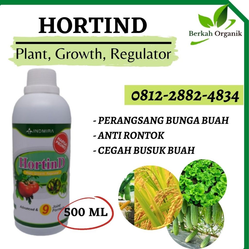  Supplier Pupuk Cempedak Samarinda, Suplier Pupuk Buah Cempedak Paser, Pusat Pupuk Cempedak Agar Cepat Berbuah Tana Paser