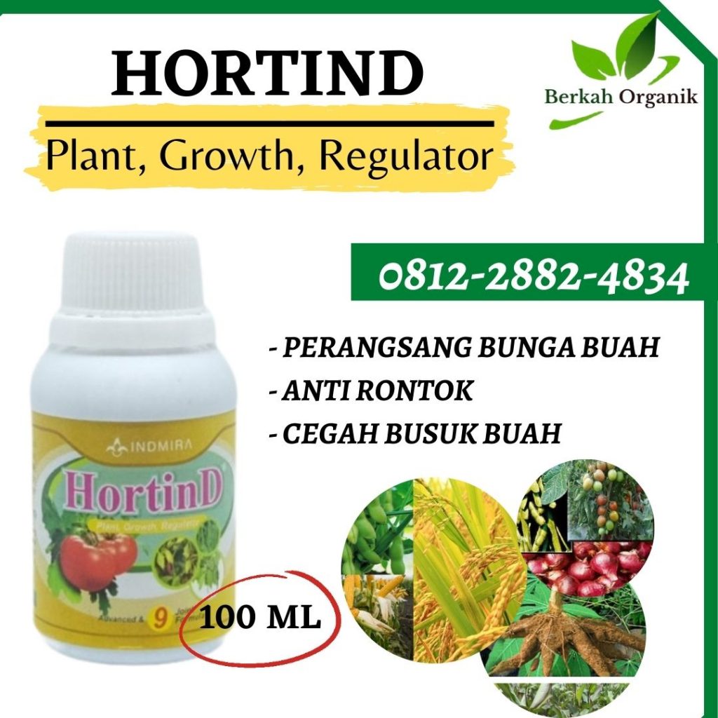 Supplier Pupuk Gambas Kediri, Suplier Pupuk Gambas Agar Berbuah Lebat Ngasem, Pusat Pupuk Untuk Tanaman Gambas Lamongan