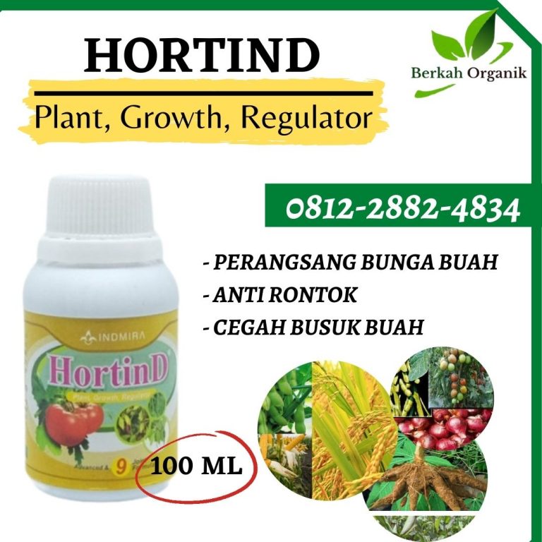 HUB, 0812-2882-4834, Supplier Pupuk Gambas Kediri, Suplier Pupuk Gambas Agar Berbuah Lebat Ngasem, Pusat Pupuk Untuk Tanaman Gambas Lamongan
