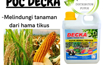 PUSAT, 0812-2882-4834, Supplier Pupuk Jagung Lampung Selatan, Suplier Pupuk Jagung Agar Berbuah Besar Kalianda, Pusat Pupuk Jagung Agar Buahnya Besar Lampung Tengah