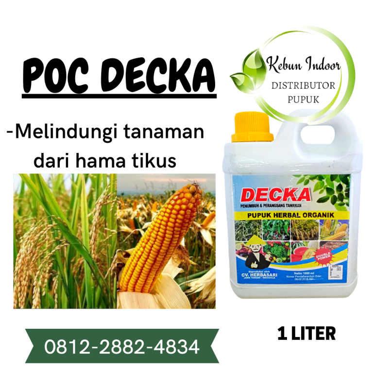 PUSAT, 0812-2882-4834, Supplier Pupuk Jagung Lampung Selatan, Suplier Pupuk Jagung Agar Berbuah Besar Kalianda, Pusat Pupuk Jagung Agar Buahnya Besar Lampung Tengah