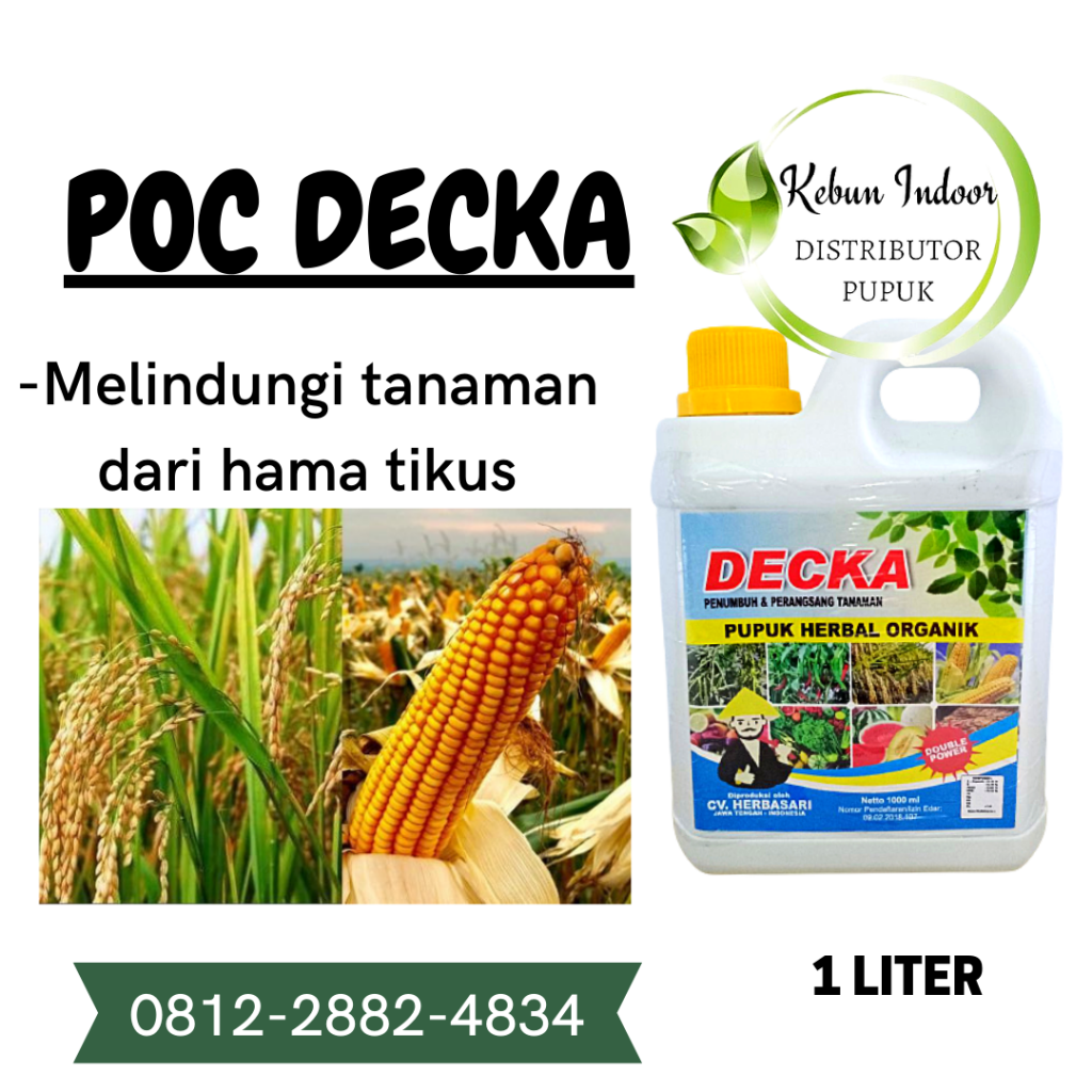 Supplier Pupuk Jagung Lampung Selatan, Suplier Pupuk Jagung Agar Berbuah Besar Kalianda, Pusat Pupuk Jagung Agar Buahnya Besar Lampung Tengah, Distributor Pupuk Agar Jagung Berbobot Gunung Sugih, Produsen Pupuk Agar Buah Jagung Besar Lampung Utara, Pabrik Pupuk Jagung Biar Buahnya Besar Kotabumi, Agen Pupuk Pemberat Buah Jagung Lampung Barat, Harga Pupuk Buah Jagung Liwa, Grosir Pupuk Cair Jagung Hibrida Tulang Bawang, Jual Pupuk Generatif Jagung Menggala