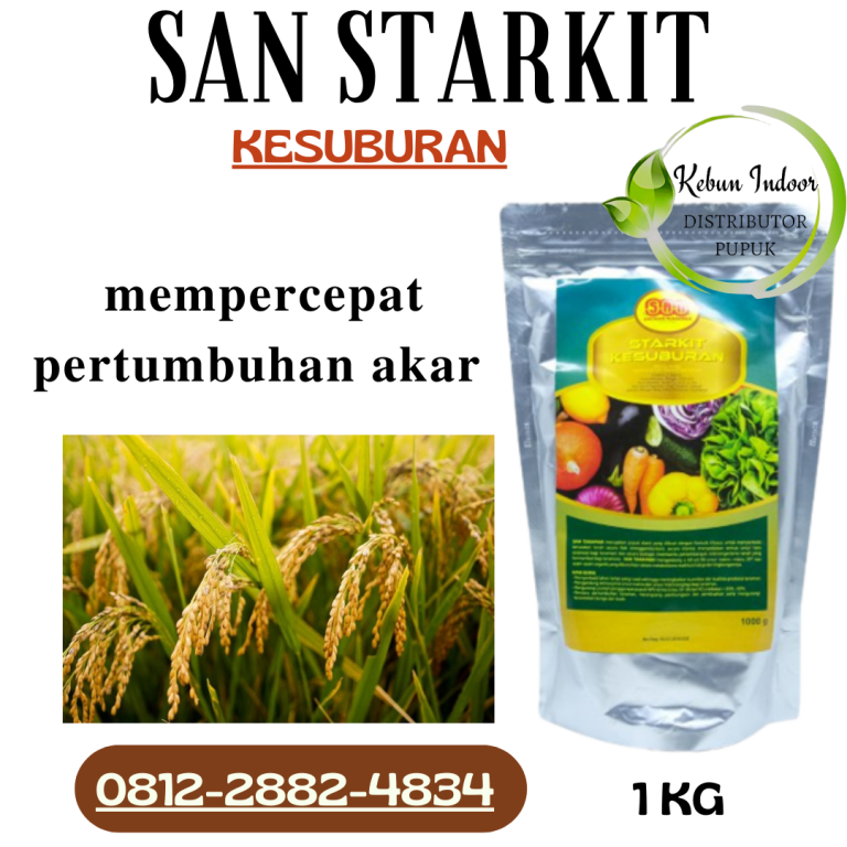 TERPERCAYA, 0812-2882-4834, Supplier Pupuk Padi Banda Aceh, Suplier Pupuk Padi Agar Beranak Banyak Aceh Barat, Pusat Pupuk Padi Agar Hasil Melimpah Meulaboh