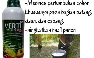 TELP, 0812-2882-4834, Pusat Pupuk Karet Getah Banyak Pangkalan Balai, Distributor Pupuk Karet Empat Lawang, Produsen Pupuk Karet Biar Banyak Getah Tebing Tinggi