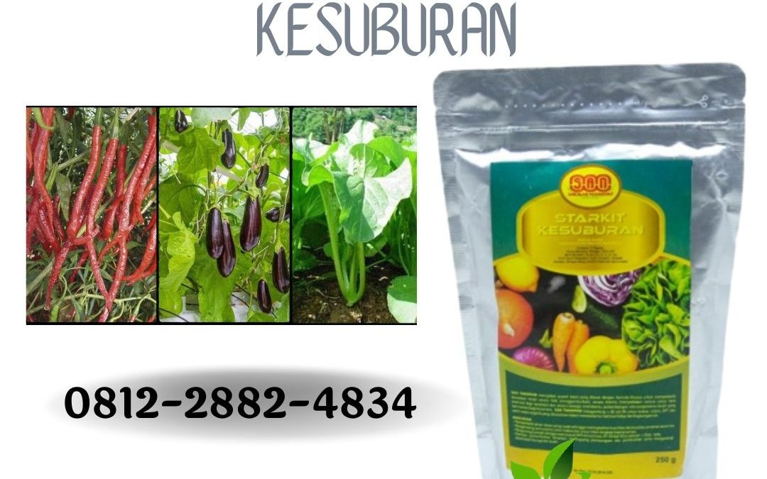 SUPPLIER, 0812-2882-4834, Supplier Pupuk Sawi Medan, Suplier Pupuk Sawi Putih Tapanuli Tengah, Pusat Pupuk Sawi Hijau Pandan