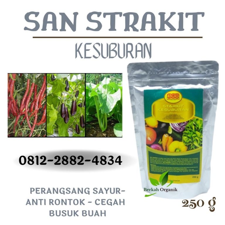 SUPPLIER, 0812-2882-4834, Supplier Pupuk Sawi Medan, Suplier Pupuk Sawi Putih Tapanuli Tengah, Pusat Pupuk Sawi Hijau Pandan