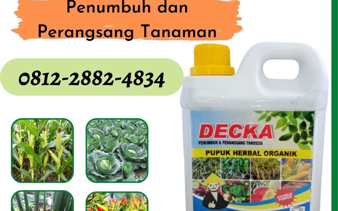 TERPERCAYA, 0812-2882-4834, Supplier Pupuk Semangka Pekan Baru, Suplier Pupuk Semangka Agar Besar Kampar, Pusat Pupuk Semangka Agar Manis Bangkinang