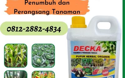 TERPERCAYA, 0812-2882-4834, Supplier Pupuk Semangka Pekan Baru, Suplier Pupuk Semangka Agar Besar Kampar, Pusat Pupuk Semangka Agar Manis Bangkinang