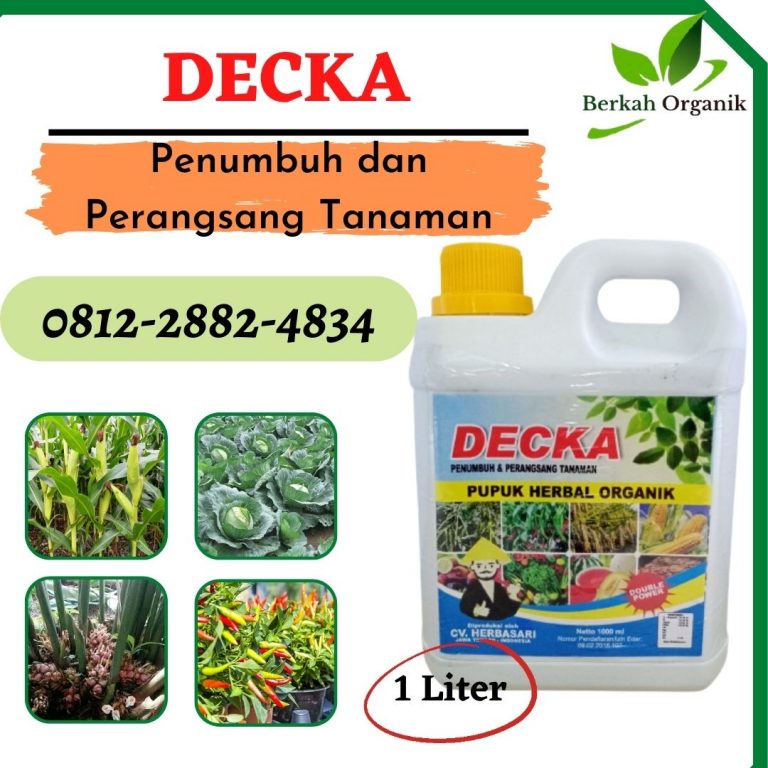 TERPERCAYA, 0812-2882-4834, Supplier Pupuk Semangka Pekan Baru, Suplier Pupuk Semangka Agar Besar Kampar, Pusat Pupuk Semangka Agar Manis Bangkinang