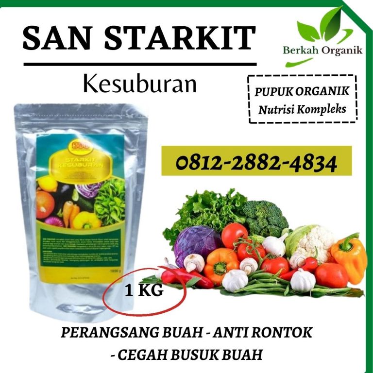 TERBUKTI, 0812-2882-4834, Supplier Pupuk Terong Semarang, Suplier Pupuk Terong Musim Hujan Banjarnegara, Pusat Pupuk Terong Agar Tidak Rontok Banyumas