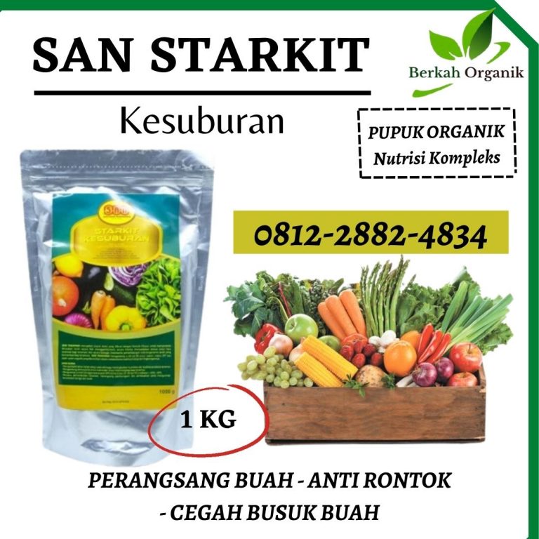 ORI, 0812-2882-4834, Supplier Pupuk Tomat Gorontalo, Suplier Pupuk Tomat Agar Berbuah Lebat Gorontalo, Pusat Pupuk Tomat Saat Berbunga Limboto