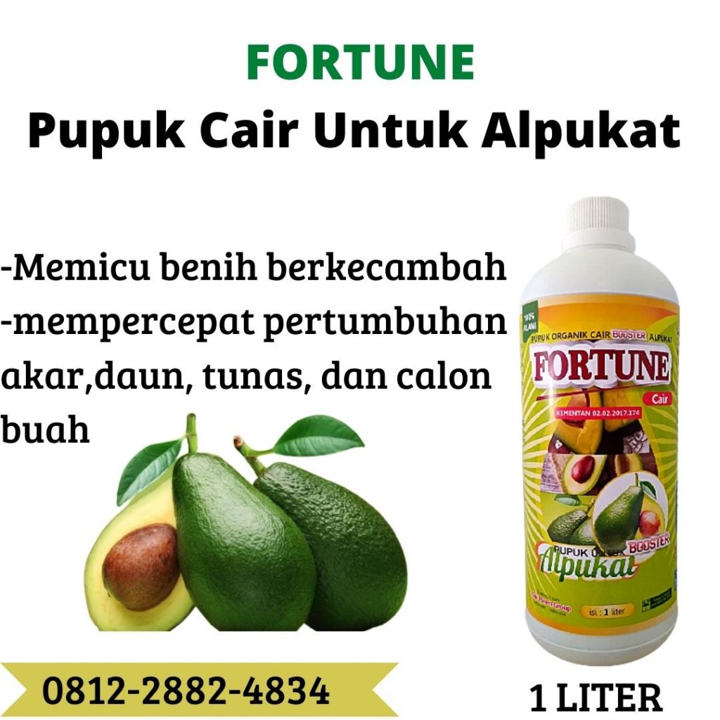 Supplier Booster Buah Alpukat Aligator Kediri, Suplier Pupuk Buah Alpukat Ngasem, Pusat Pupuk Buah Alpukat Agar Cepat Berbuah Lamongan, Distributor Pupuk Buah Alpukat Terbaik Lumajang, Produsen Pupuk Untuk Buah Alpukat Madiun, Supplier Pupuk Perangsang Buah Alpukat Surabaya, Suplier Pupuk Perangsang Buah Alpukat Bangkalan, Pusat Pupuk Perangsang Bunga Dan Buah Alpukat Banyuwangi
