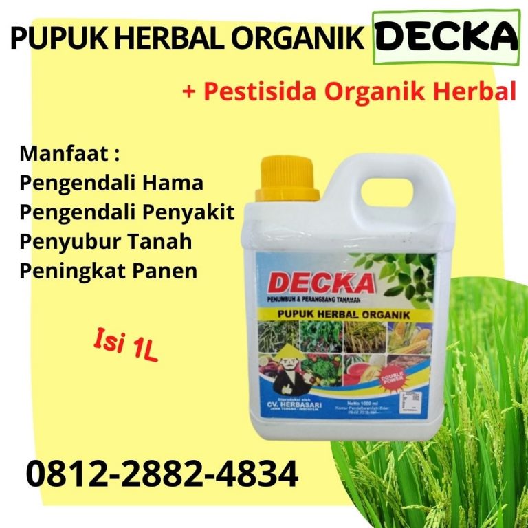 TERPERCAYA, 0812-2882-4834, Distributor Pupuk Organik Padi Blitar, Produsen Pupuk Semai Padi Kanigoro, Pabrik Pupuk Tanaman Padi Bojonegoro