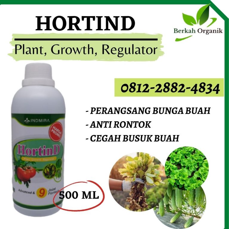 WA, 0812-2882-4834, Supplier Pupuk Kacang Padang Aro, Suplier Pupuk Kacang Tanah Pasaman Barat, Pusat Pupuk Kacang Panjang Agar Subur Simpang Ampek