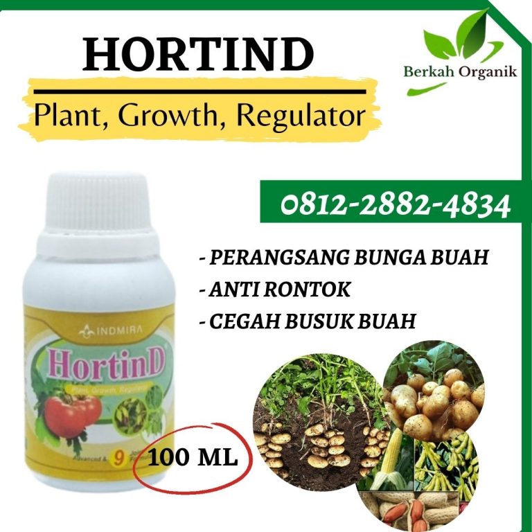 PUSAT, 0812-2882-4834, Supplier Pupuk Kentang Medan, Suplier Pupuk Kentang Musim Hujan Tapanuli Tengah, Pusat Pupuk Kentang Musim Kemarau Pandan