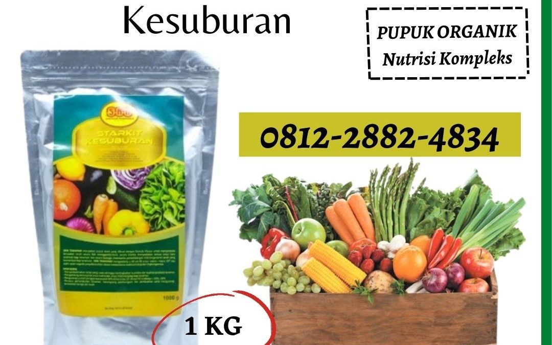 Supplier Pupuk Tomat Gorontalo, Suplier Pupuk Tomat Agar Berbuah Lebat Gorontalo, Pusat Pupuk Tomat Saat Berbunga Limboto