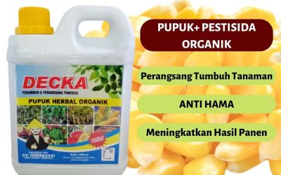 ORGANIK ! 0812-2882-4834 DISTRIBUTOR pupuk agar jagung berbobot Di Bulukumba, SUPPLIER pupuk awal jagung Di Masamba, PABRIK pupuk untuk menambah bobot jagung Di Bantaeng