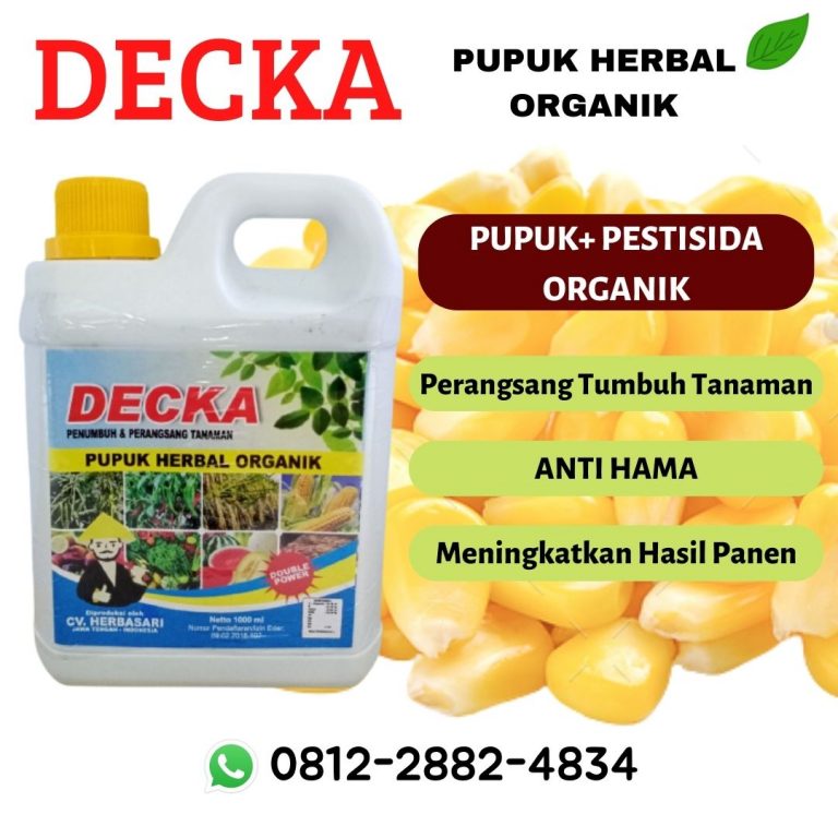 ORGANIK ! 0812-2882-4834 DISTRIBUTOR pupuk agar jagung berbobot Di Bulukumba, SUPPLIER pupuk awal jagung Di Masamba, PABRIK pupuk untuk menambah bobot jagung Di Bantaeng