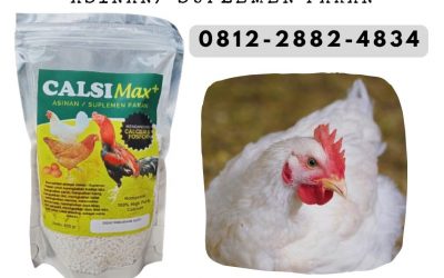 ORGANIK ! 0812-2882-4834 Distributor Kalsium Ayam Bangkok di Purwokerto, Produsen Kalsium Ayam Petarung di Batang, Pabrik Kalsium Untuk Ayam Aduan di Blora