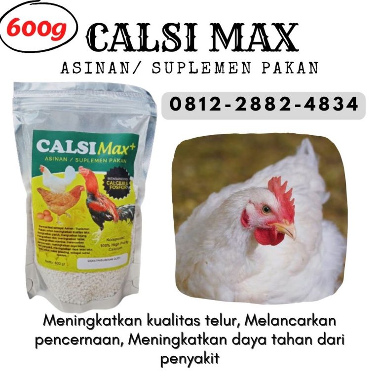 ORGANIK ! 0812-2882-4834 Distributor Kalsium Ayam Bangkok di Purwokerto, Produsen Kalsium Ayam Petarung di Batang, Pabrik Kalsium Untuk Ayam Aduan di Blora