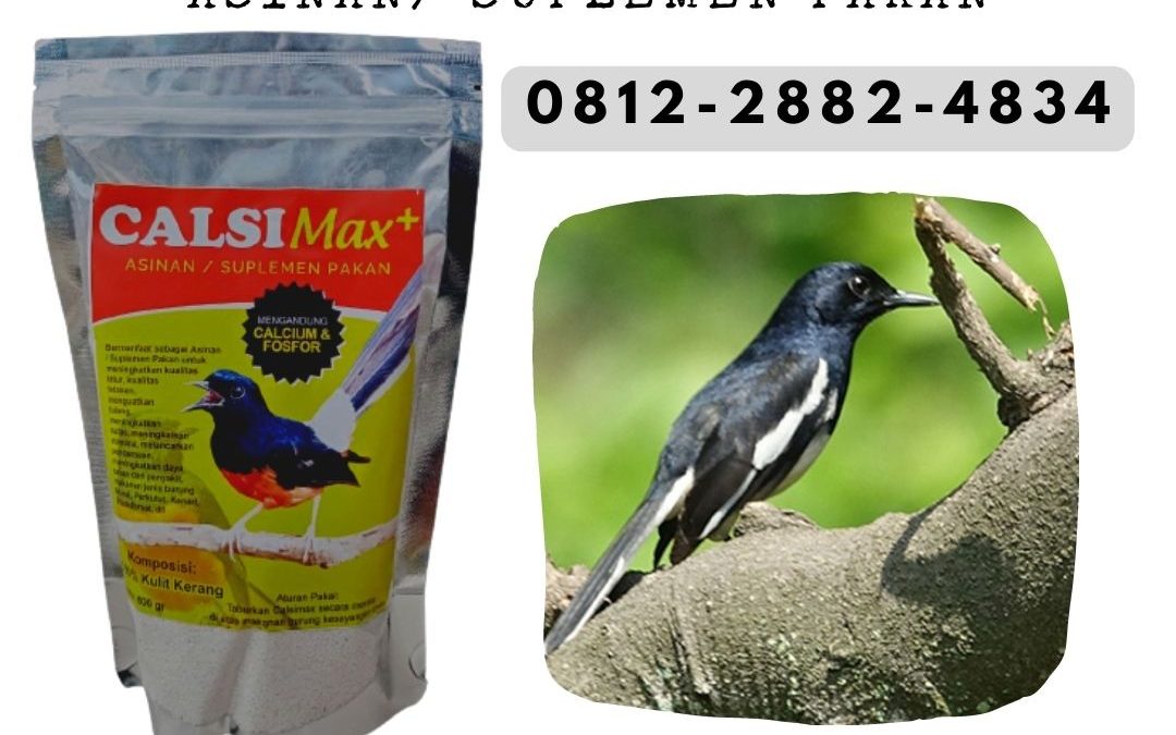 ORGANIK ! 0812-2882-4834 Distributor Kalsium Untuk Burung di Purwokerto, Produsen Super Kalsium Untuk Burung di Batang, Pabrik Bubuk Kalsium Untuk Burung di Blora