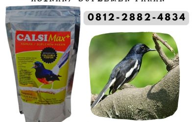 ORGANIK ! 0812-2882-4834 Distributor Kalsium Untuk Burung di Purwokerto, Produsen Super Kalsium Untuk Burung di Batang, Pabrik Bubuk Kalsium Untuk Burung di Blora