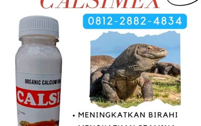 ORGANIK ! 0812-2882-4834 Distributor Kalsium Untuk Reptil Ular di Bangko, Produsen Suplemen Kalsium Reptil di Sarolangun, Pabrik Suplemen Kura Kura di Sarolangun