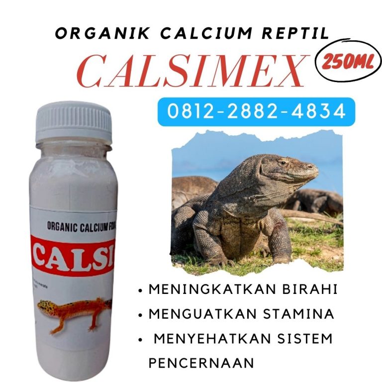ORGANIK ! 0812-2882-4834 Distributor Kalsium Untuk Reptil Ular di Bangko, Produsen Suplemen Kalsium Reptil di Sarolangun, Pabrik Suplemen Kura Kura di Sarolangun