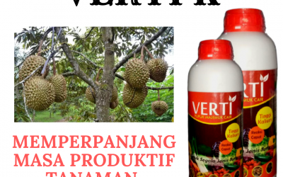 HUB! WA : 0812-2882-4834, Distributor Pupuk Anti Rontok Bunga Di Purwokerto, Produsen Pupuk Anti Rontok Buah Durian Di Batang, Pabrik Pupuk Anti Rontok Buah Di Blora
